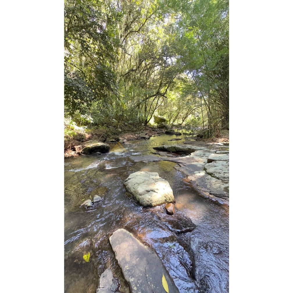 Sítio / Chácara para Venda no bairro São Jacó em Nova Petrópolis