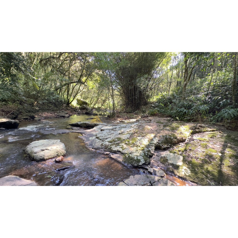 Sítio / Chácara para Venda no bairro São Jacó em Nova Petrópolis