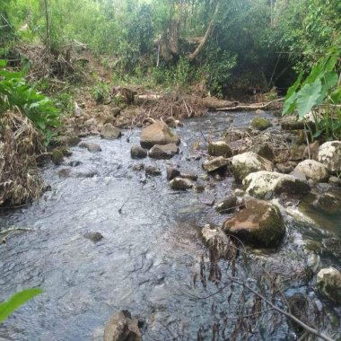 Sítio / Chácara para Venda no bairro Zona Rural em São Francisco de Paula