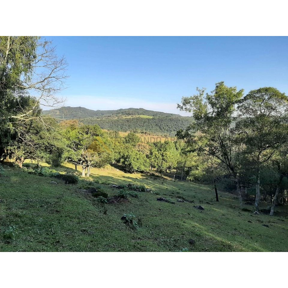 Sítio / Chácara para Venda no bairro Zona Rural em São Francisco de Paula