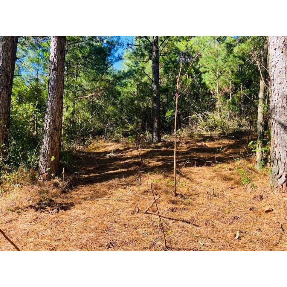 Sítio / Chácara para Venda no bairro Zona Rural em São Francisco de Paula