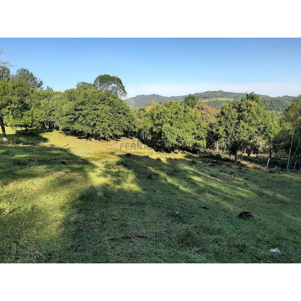 Sítio / Chácara para Venda no bairro Zona Rural em São Francisco de Paula