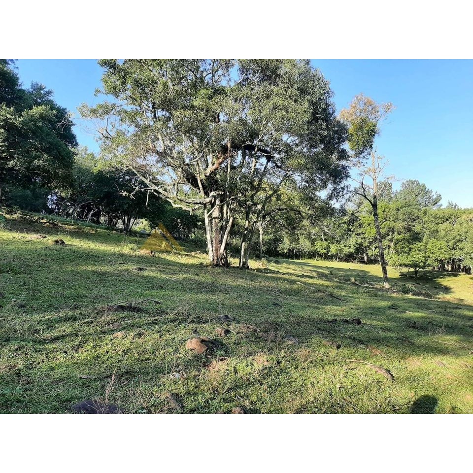 Sítio / Chácara para Venda no bairro Zona Rural em São Francisco de Paula