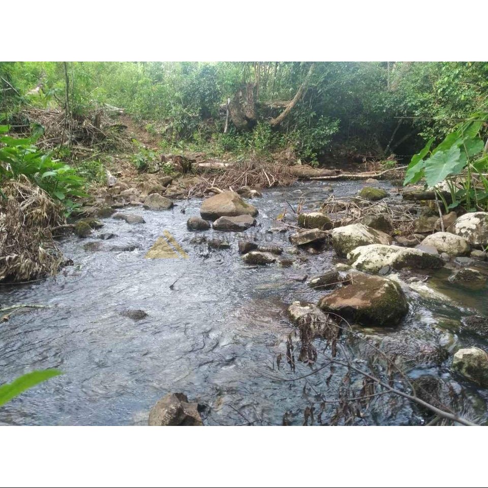Sítio / Chácara para Venda no bairro Zona Rural em São Francisco de Paula