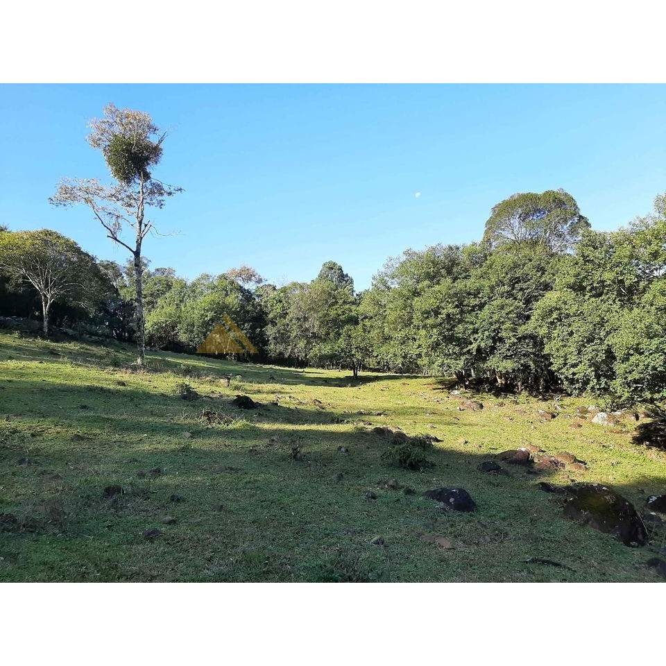 Sítio / Chácara para Venda no bairro Zona Rural em São Francisco de Paula