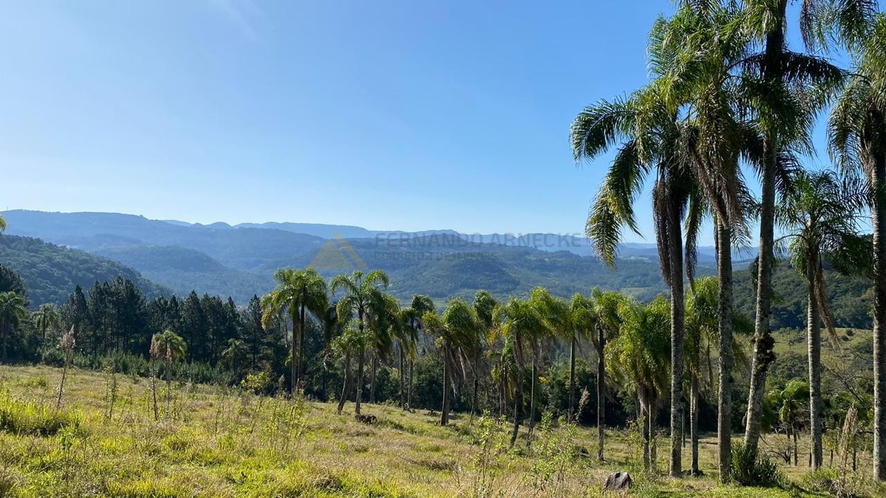 Sítio / Chácara para Venda no bairro Zona Rural em Três Coroas