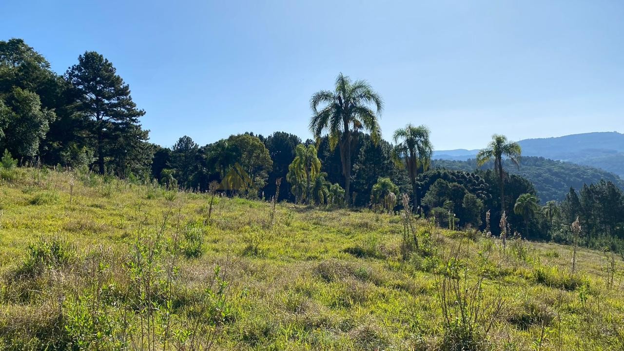 Sítio / Chácara para Venda no bairro Zona Rural em Três Coroas