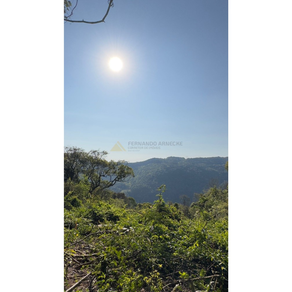 Sítio / Chácara para Venda no bairro Treze Colônias em Nova Petrópolis