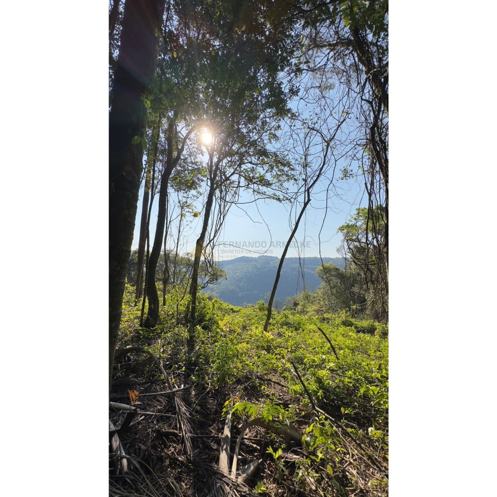 Sítio / Chácara para Venda no bairro Treze Colônias em Nova Petrópolis