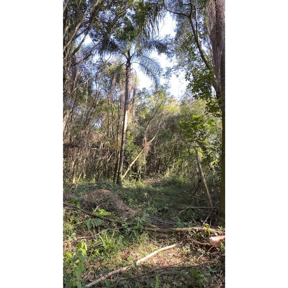 Sítio / Chácara para Venda no bairro Treze Colônias em Nova Petrópolis