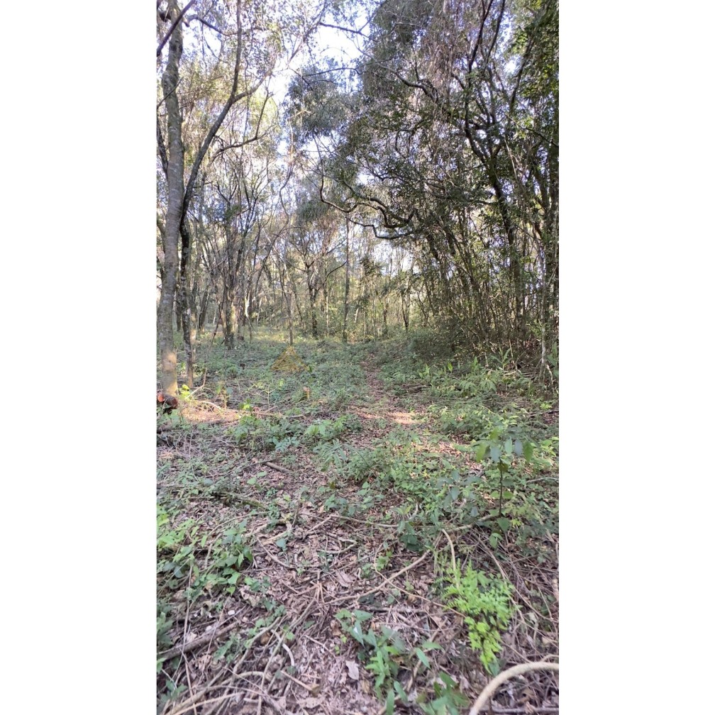 Sítio / Chácara para Venda no bairro Treze Colônias em Nova Petrópolis