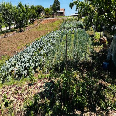 Sítio / Chácara 2 quartos para Venda no bairro Padre Eterno Ilges em Santa Maria do Herval
