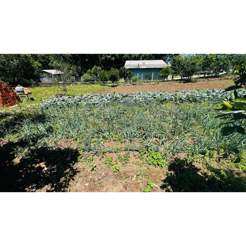 Sítio / Chácara 2 quartos para Venda no bairro Padre Eterno Ilges em Santa Maria do Herval