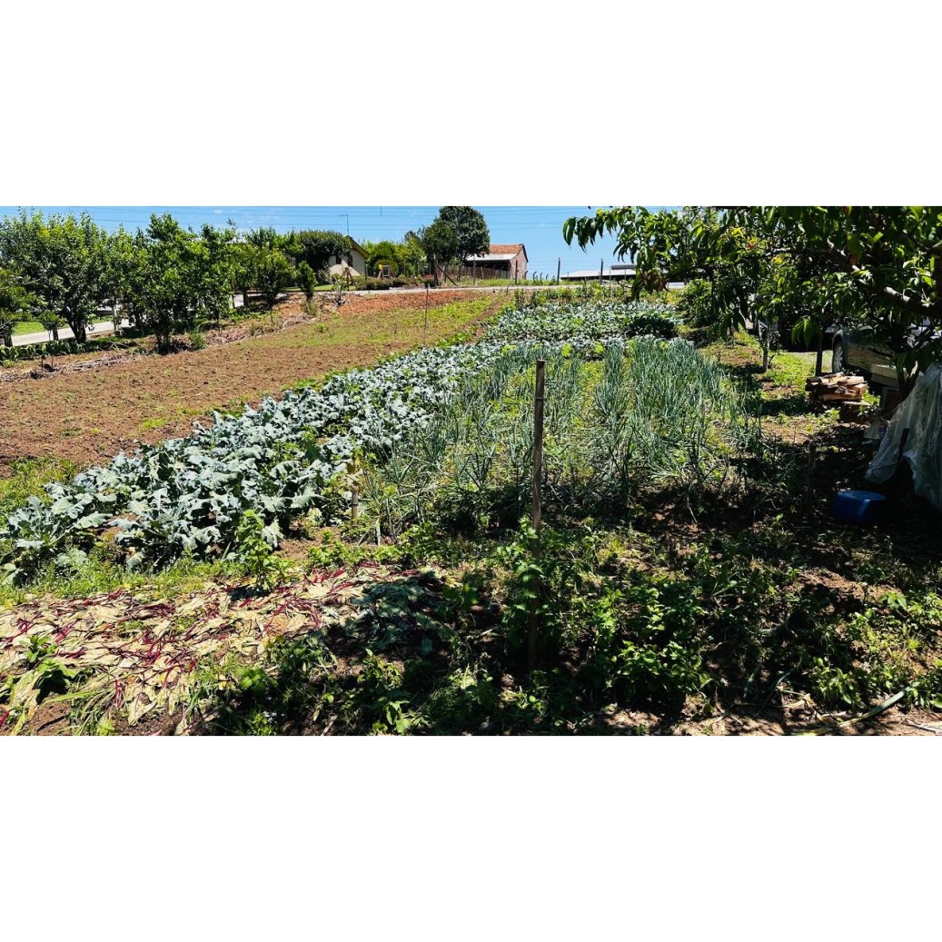 Sítio / Chácara 2 quartos para Venda no bairro Padre Eterno Ilges em Santa Maria do Herval