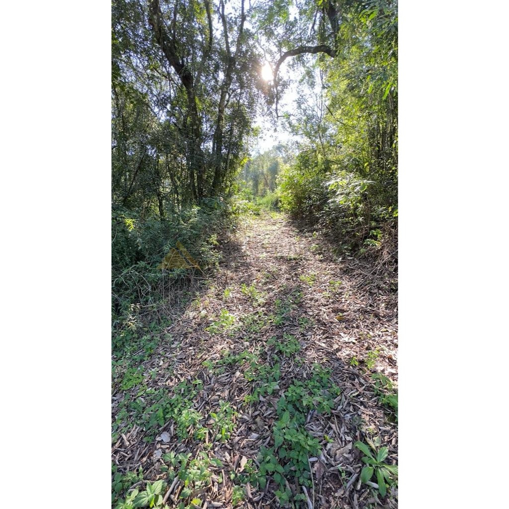 Sítio / Chácara para Venda no bairro Treze Colônias em Nova Petrópolis