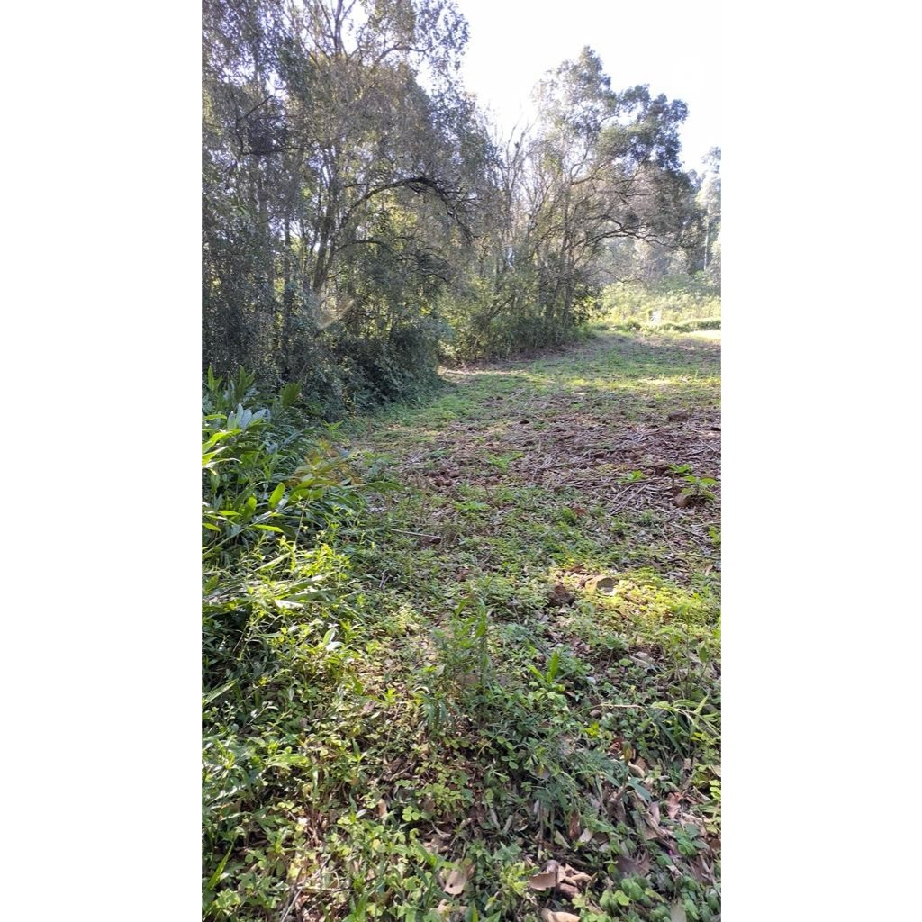 Sítio / Chácara para Venda no bairro Treze Colônias em Nova Petrópolis