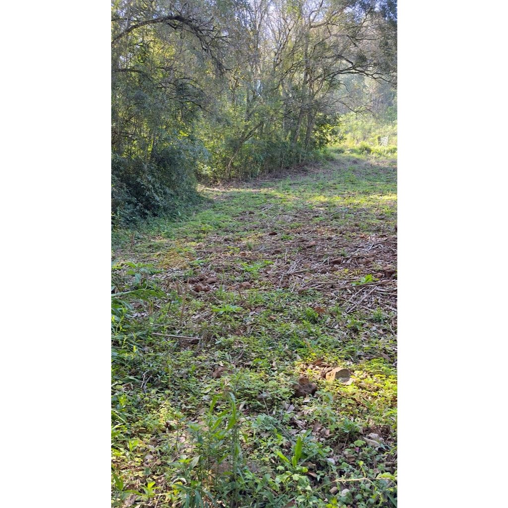 Sítio / Chácara para Venda no bairro Treze Colônias em Nova Petrópolis