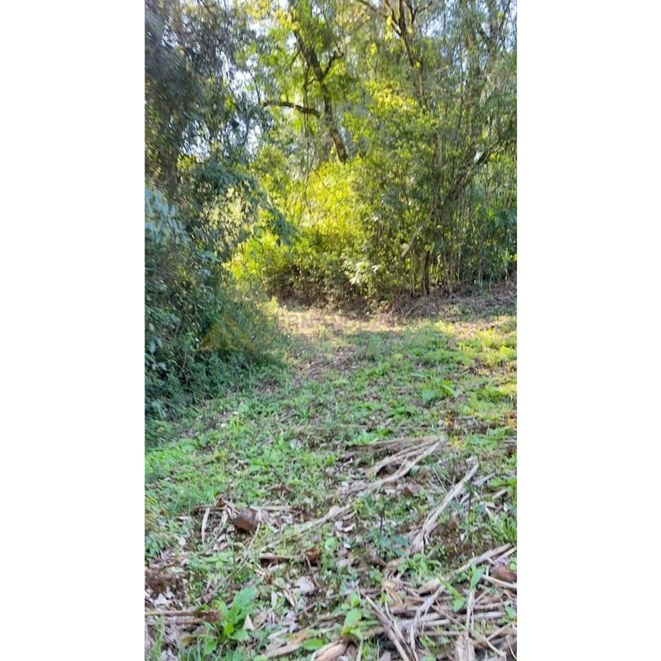 Sítio / Chácara para Venda no bairro Treze Colônias em Nova Petrópolis