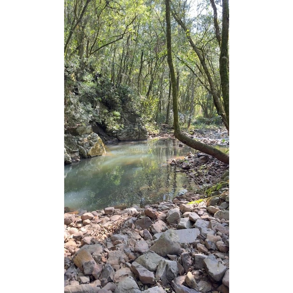 Sítio / Chácara para Venda no bairro Treze Colônias em Nova Petrópolis