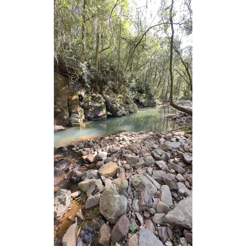 Sítio / Chácara para Venda no bairro Treze Colônias em Nova Petrópolis