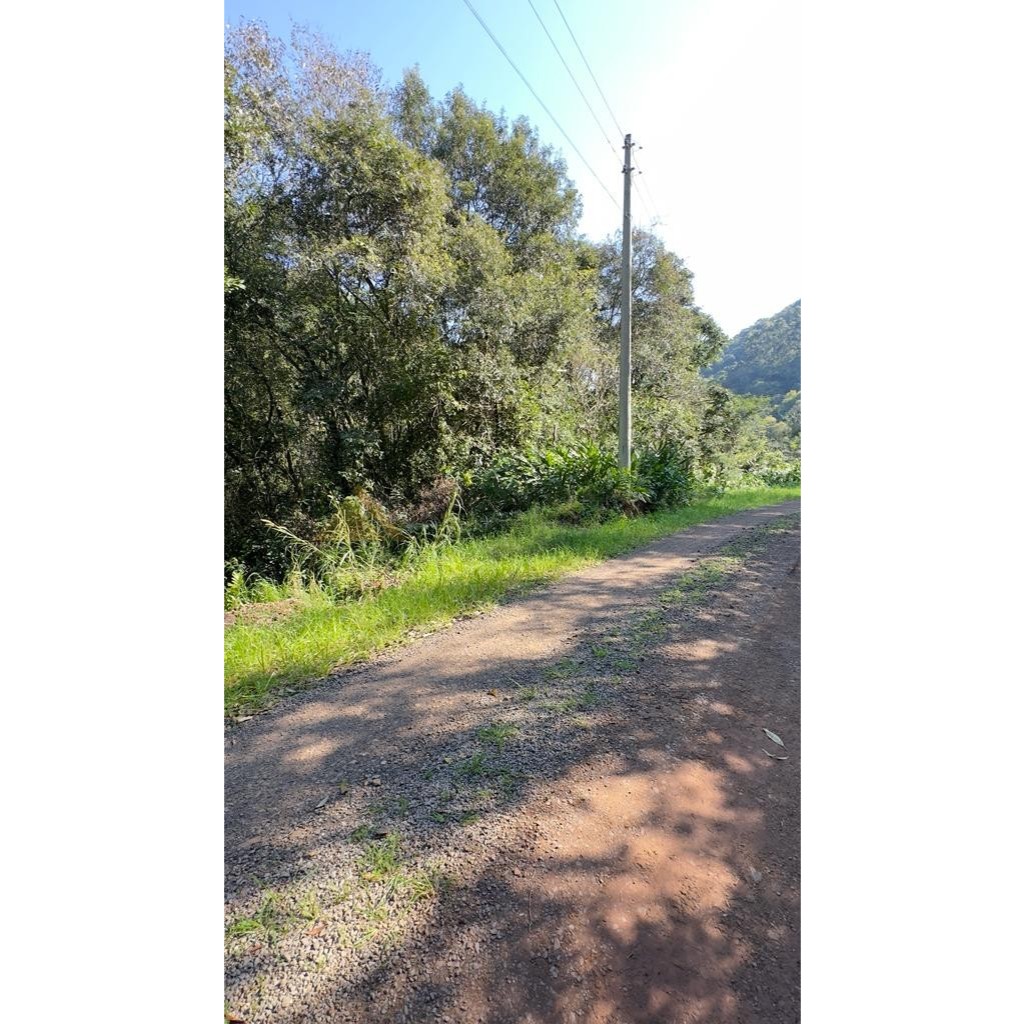 Sítio / Chácara para Venda no bairro Treze Colônias em Nova Petrópolis