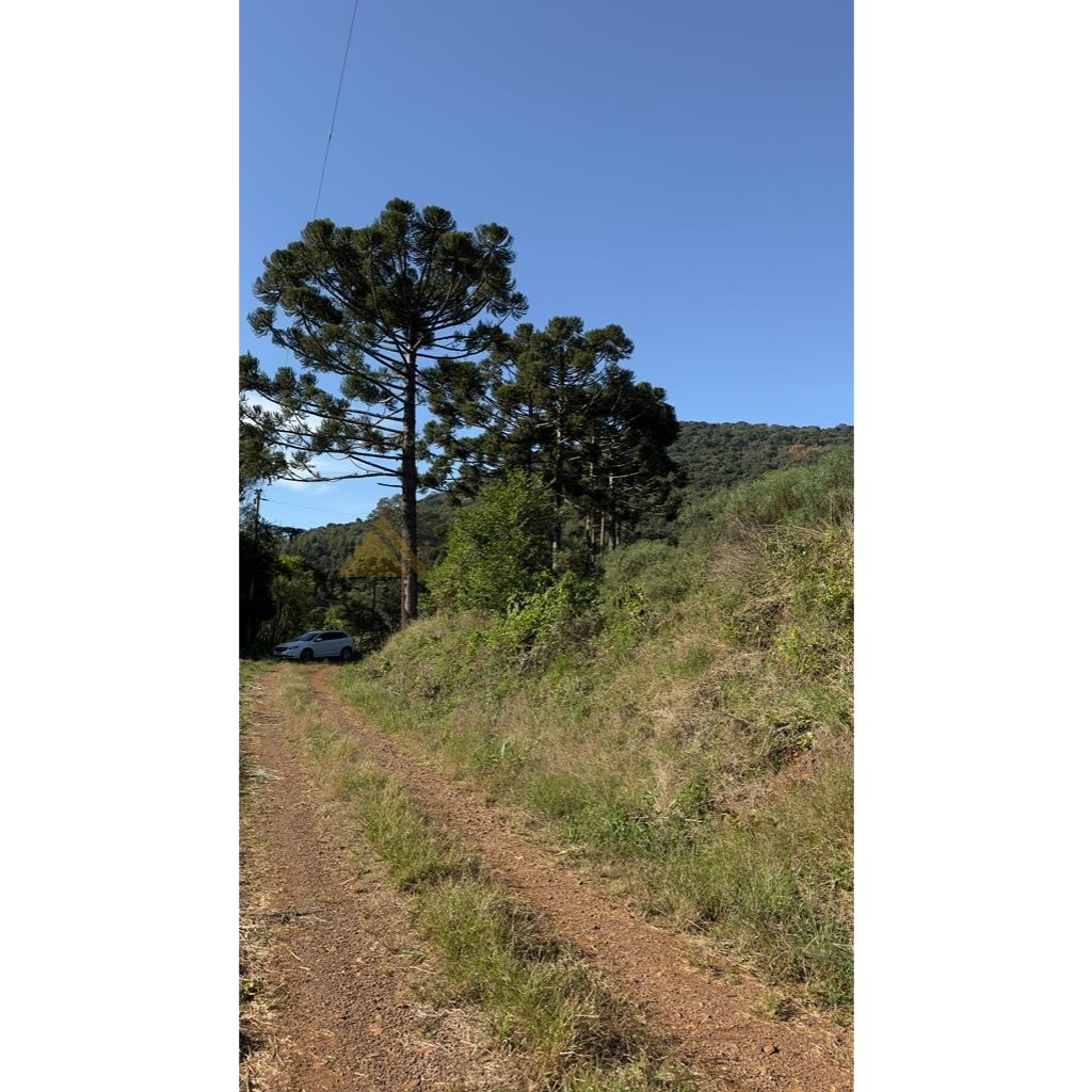 Sítio / Chácara para Venda no bairro Linha Marcondes em Santa Maria do Herval