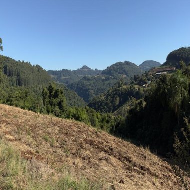 Sítio / Chácara para Venda no bairro Linha Marcondes em Santa Maria do Herval