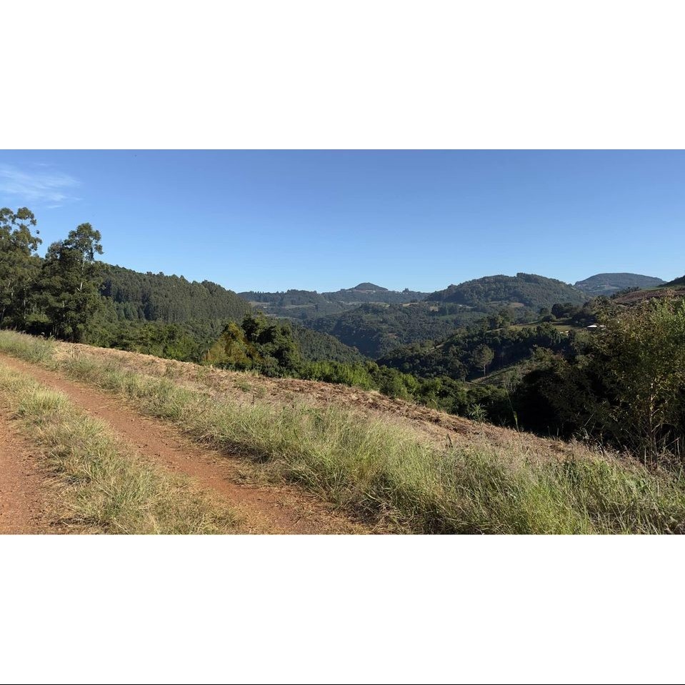 Sítio / Chácara para Venda no bairro Linha Marcondes em Santa Maria do Herval