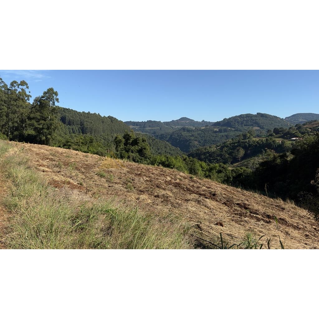 Sítio / Chácara para Venda no bairro Linha Marcondes em Santa Maria do Herval