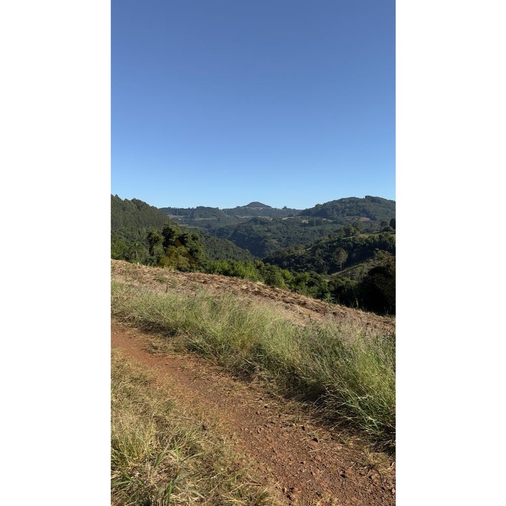 Sítio / Chácara para Venda no bairro Linha Marcondes em Santa Maria do Herval