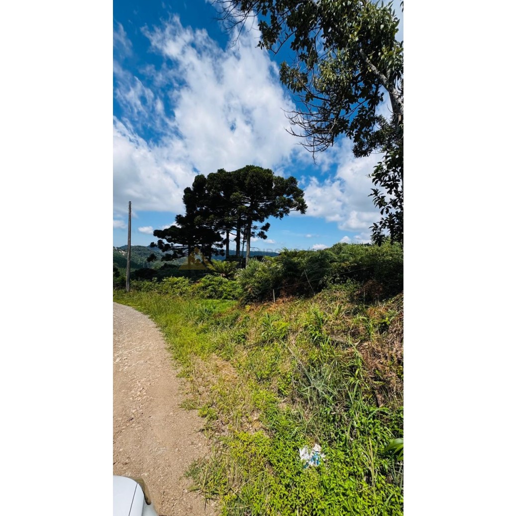 Sítio / Chácara para Venda no bairro Linha Tapera em Gramado