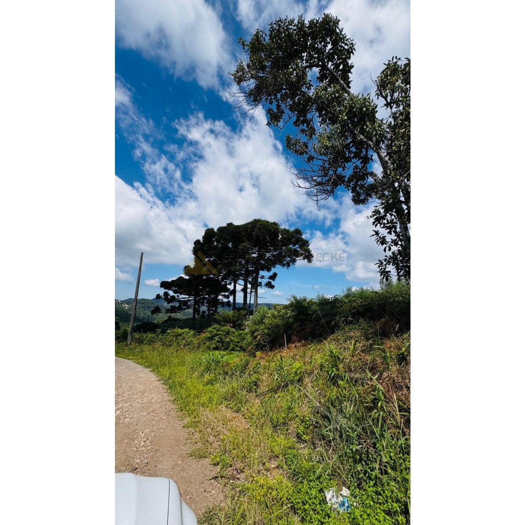 Sítio / Chácara para Venda no bairro Linha Tapera em Gramado