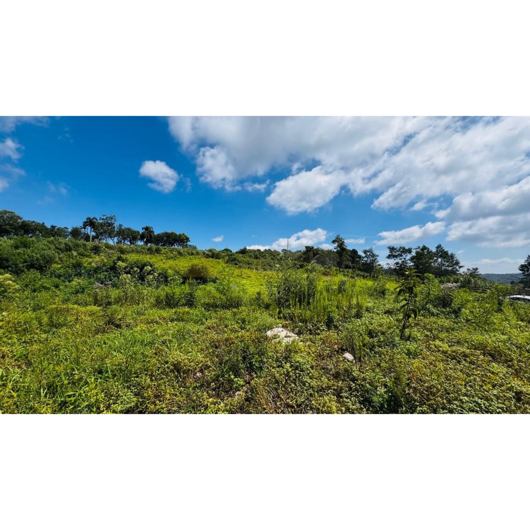 Sítio / Chácara para Venda no bairro Linha Tapera em Gramado