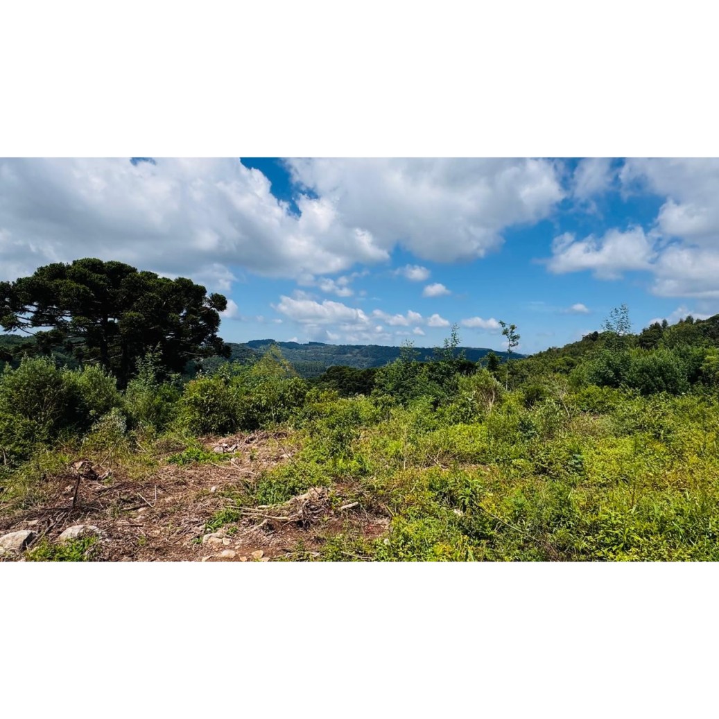 Sítio / Chácara para Venda no bairro Linha Tapera em Gramado