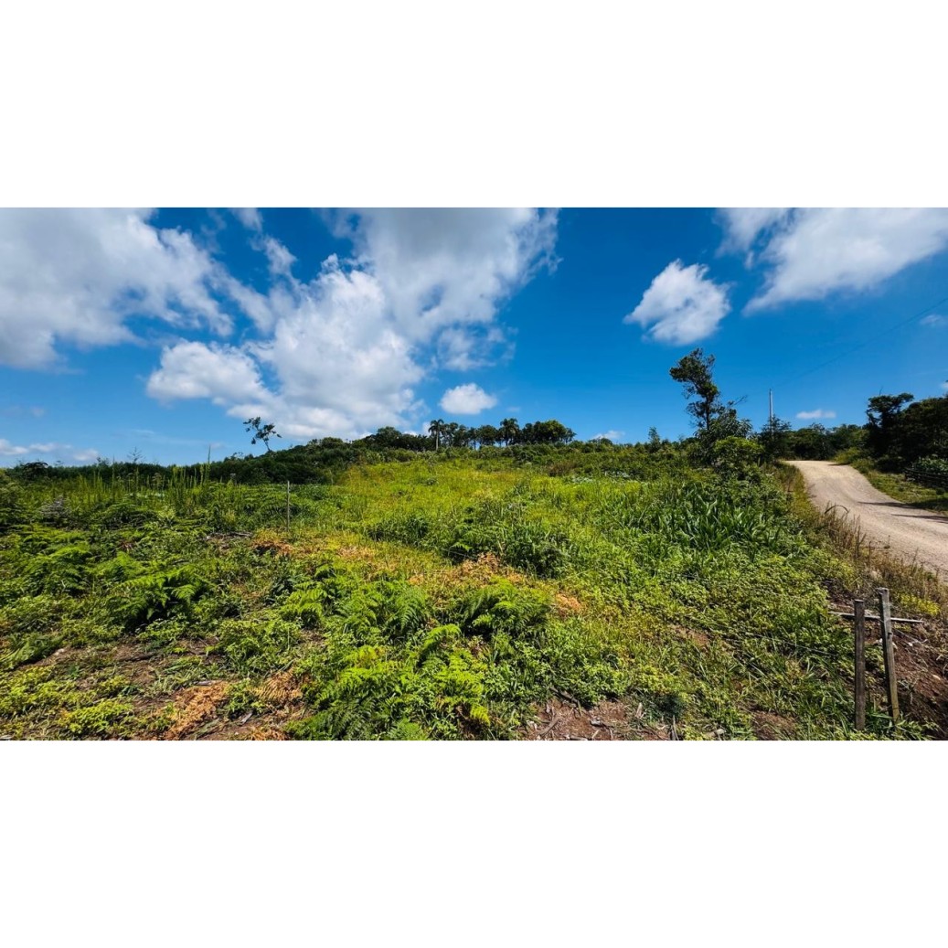 Sítio / Chácara para Venda no bairro Linha Tapera em Gramado