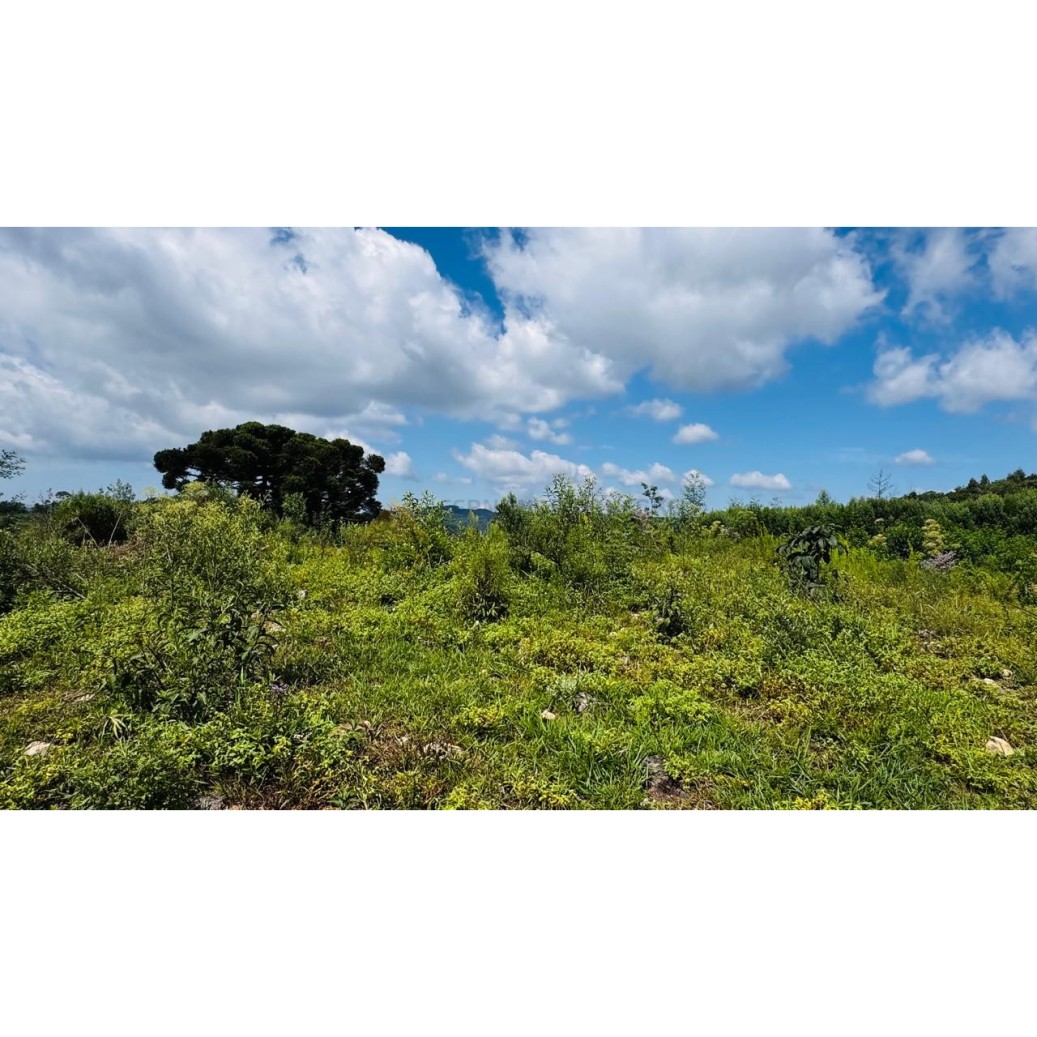 Sítio / Chácara para Venda no bairro Linha Tapera em Gramado