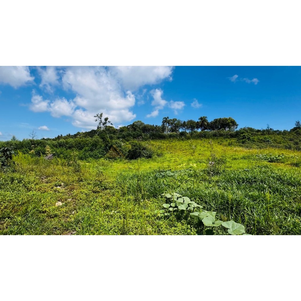 Sítio / Chácara para Venda no bairro Linha Tapera em Gramado