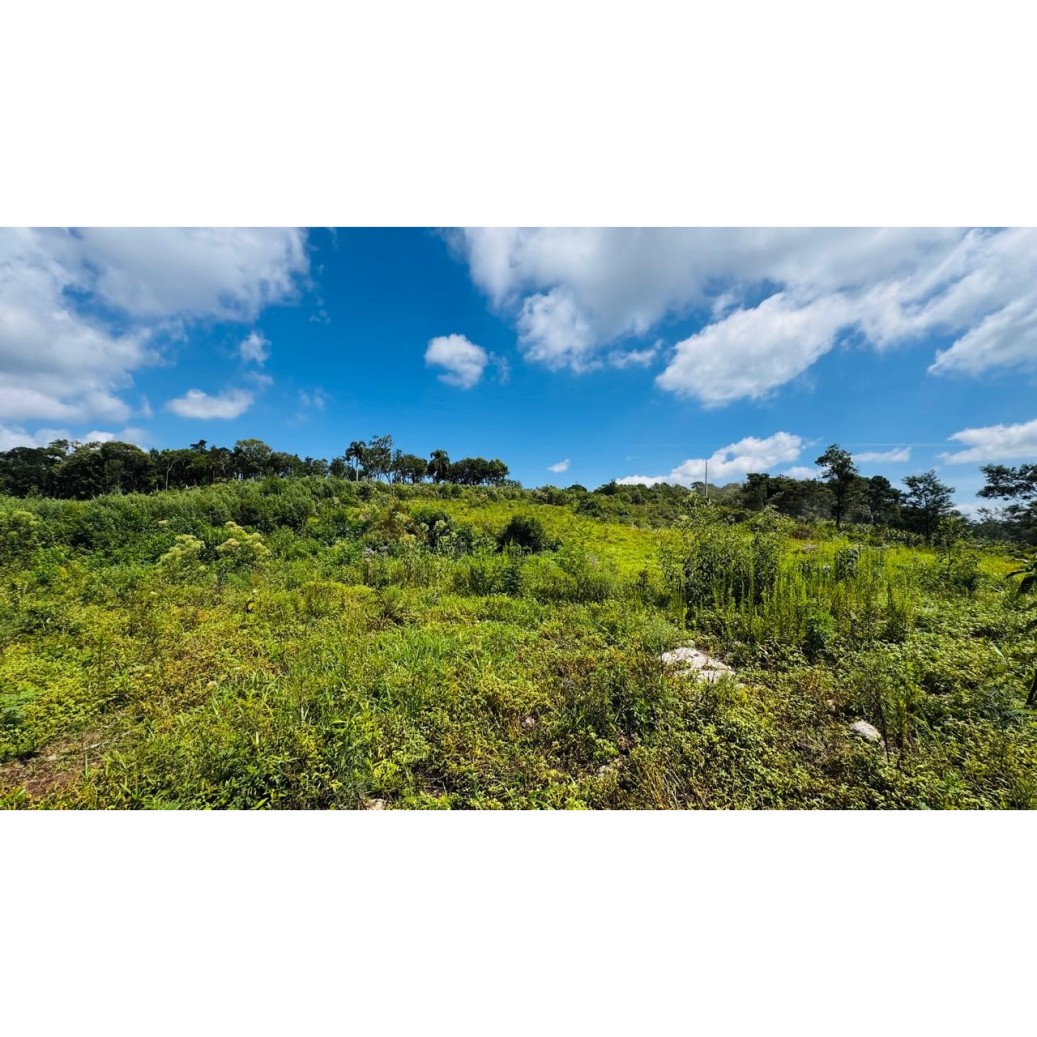 Sítio / Chácara para Venda no bairro Linha Tapera em Gramado