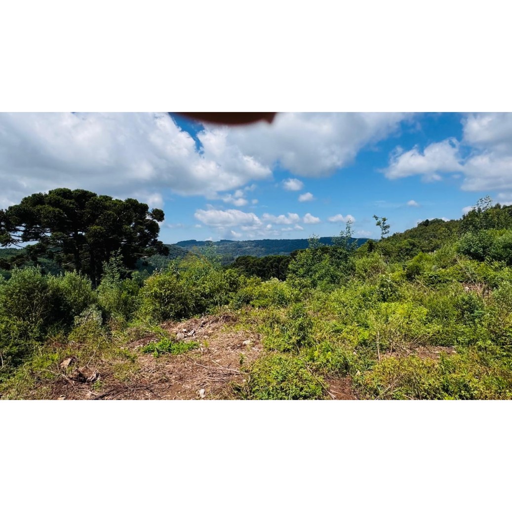 Sítio / Chácara para Venda no bairro Linha Tapera em Gramado