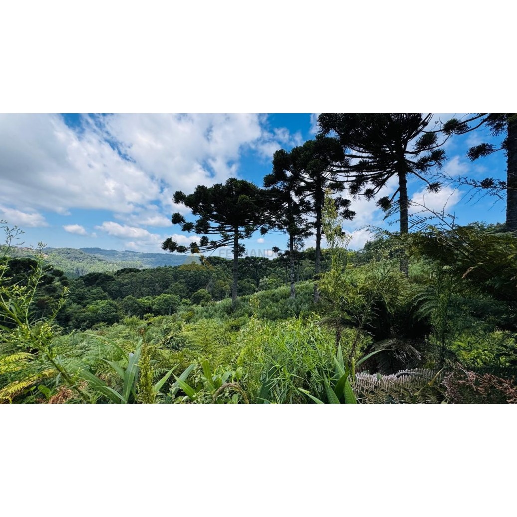 Sítio / Chácara para Venda no bairro Linha Tapera em Gramado