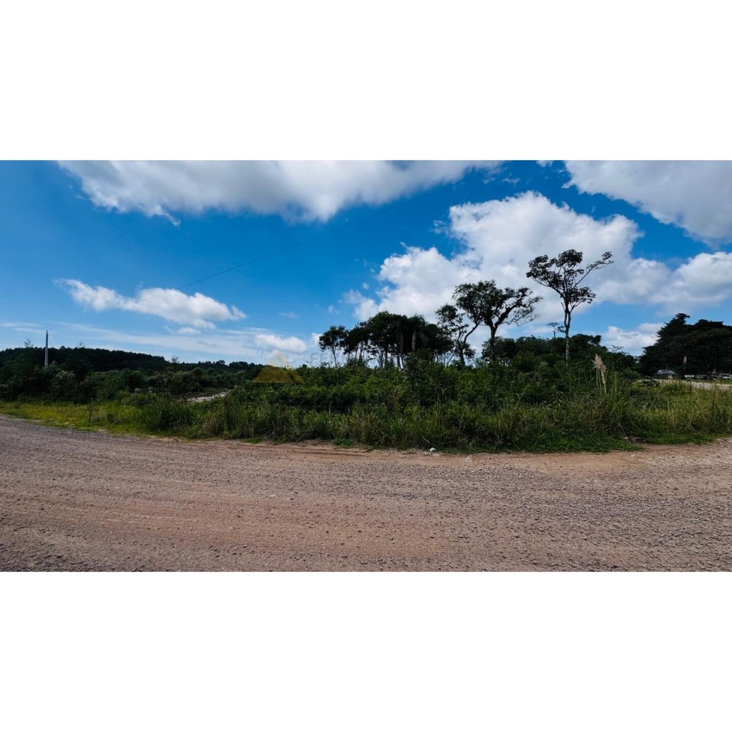 Sítio / Chácara para Venda no bairro Linha Tapera em Gramado