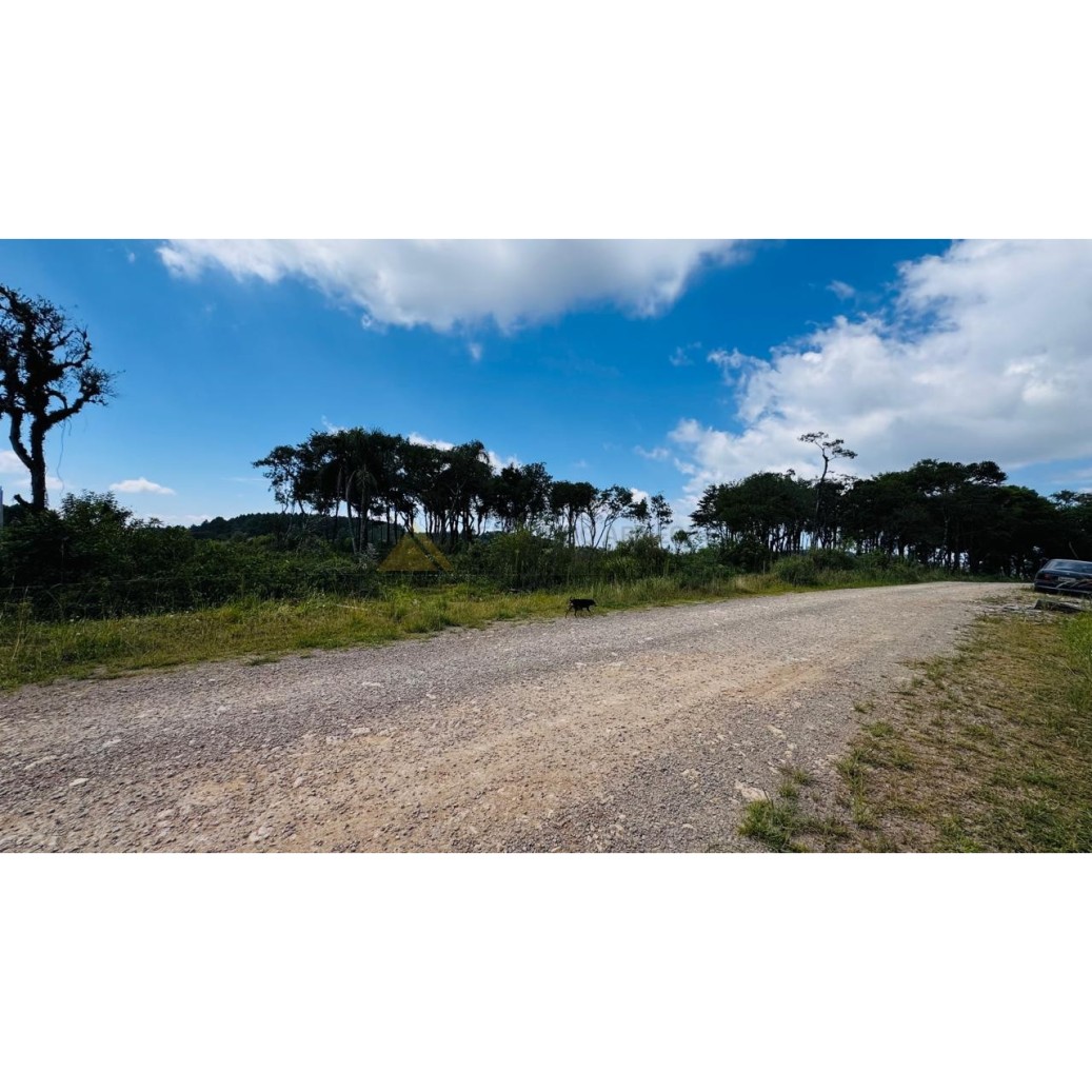 Sítio / Chácara para Venda no bairro Linha Tapera em Gramado