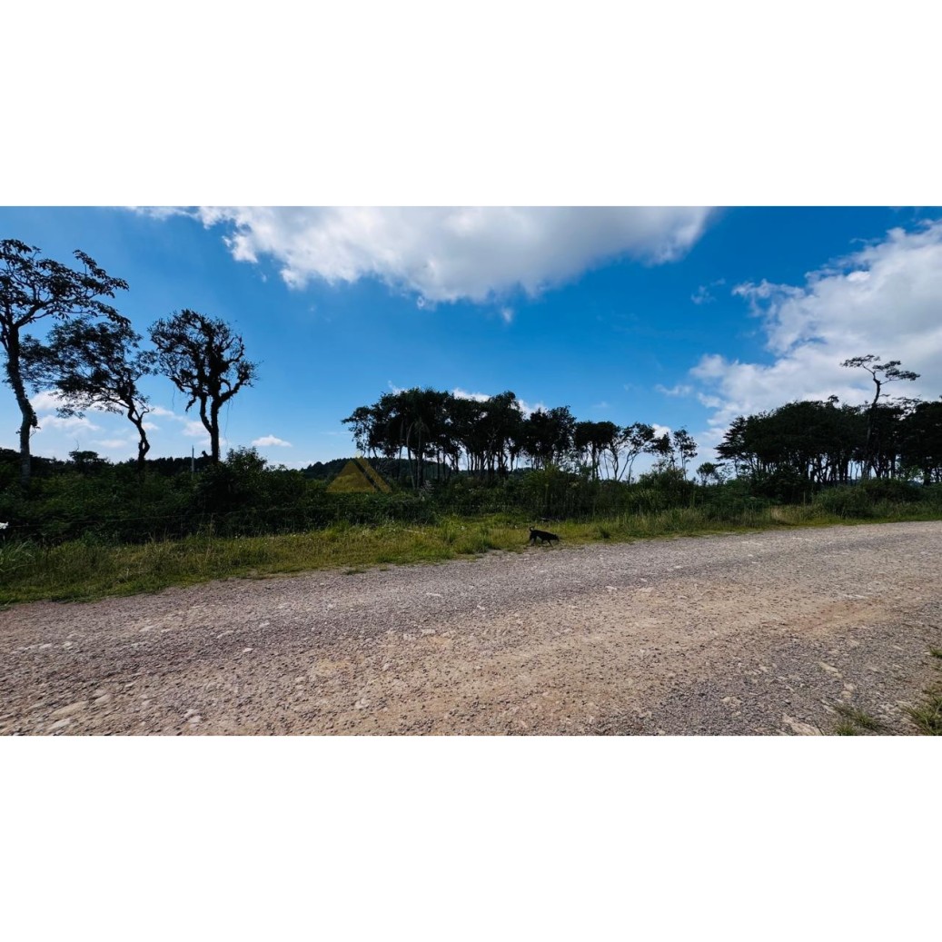 Sítio / Chácara para Venda no bairro Linha Tapera em Gramado