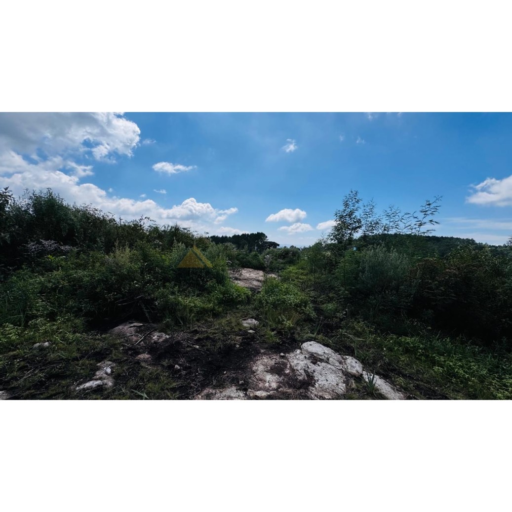 Sítio / Chácara para Venda no bairro Linha Tapera em Gramado