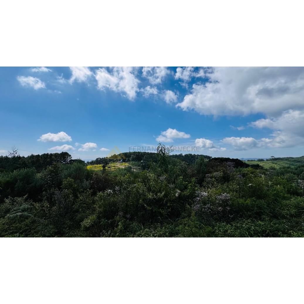 Sítio / Chácara para Venda no bairro Linha Tapera em Gramado