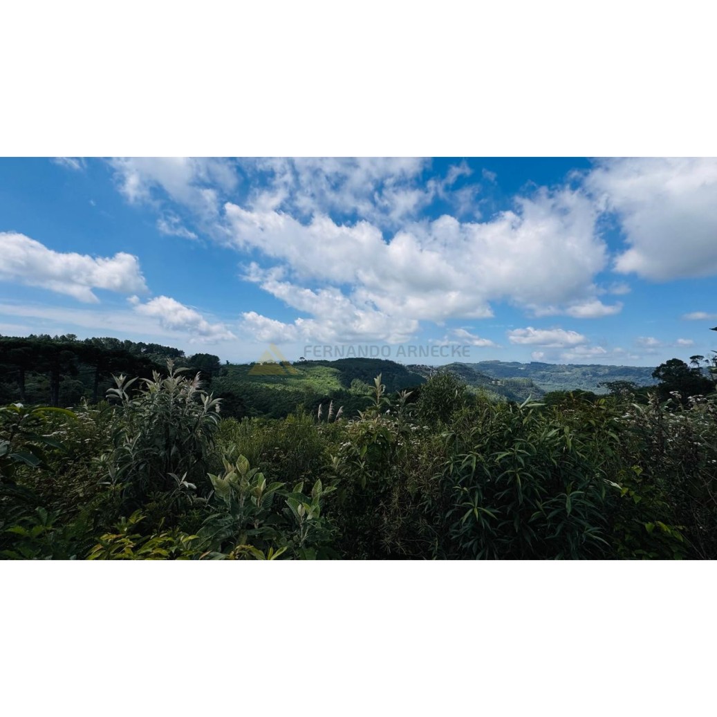 Sítio / Chácara para Venda no bairro Linha Tapera em Gramado