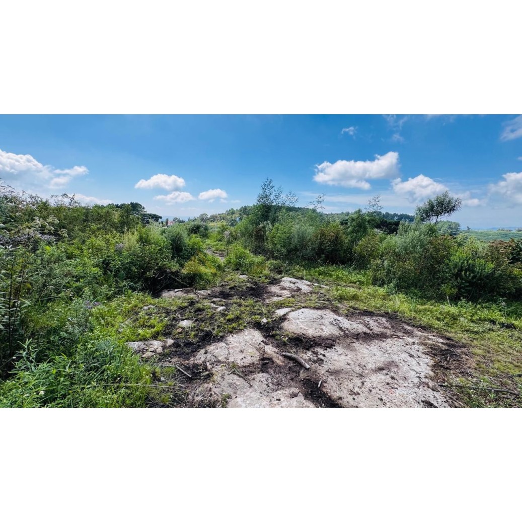 Sítio / Chácara para Venda no bairro Linha Tapera em Gramado