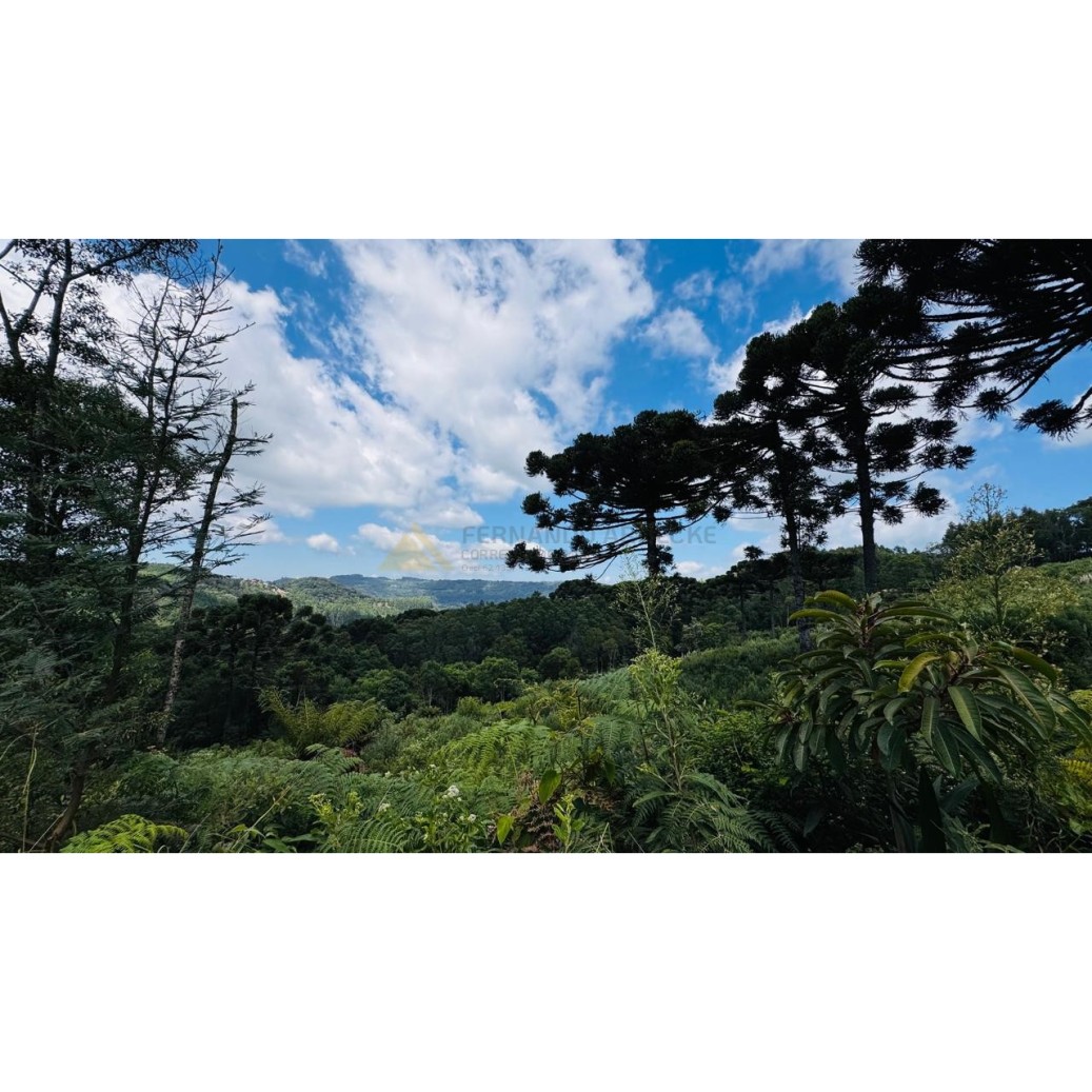 Sítio / Chácara para Venda no bairro Linha Tapera em Gramado