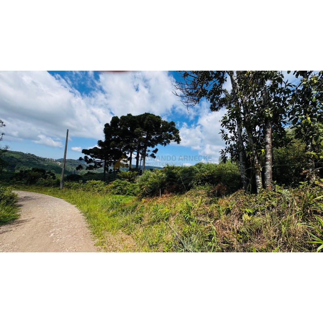 Sítio / Chácara para Venda no bairro Linha Tapera em Gramado