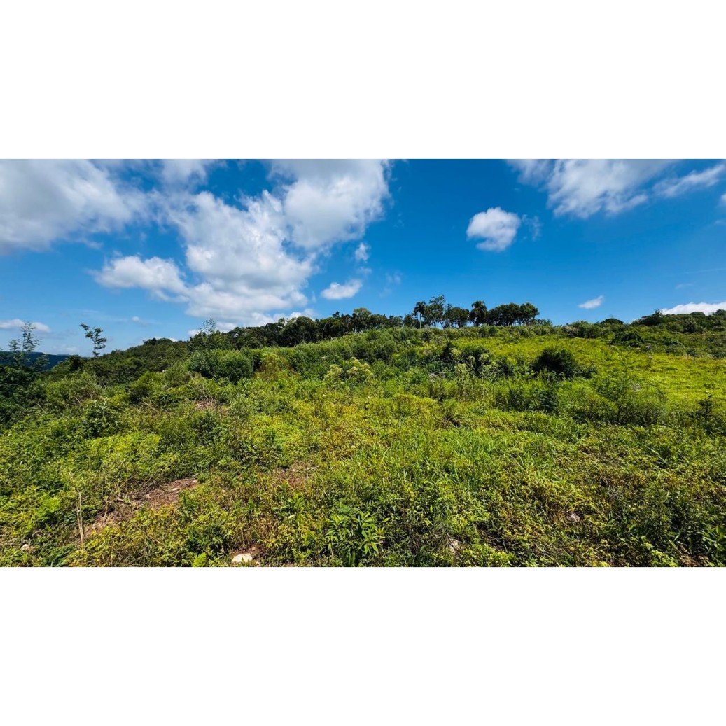 Sítio / Chácara para Venda no bairro Linha Tapera em Gramado